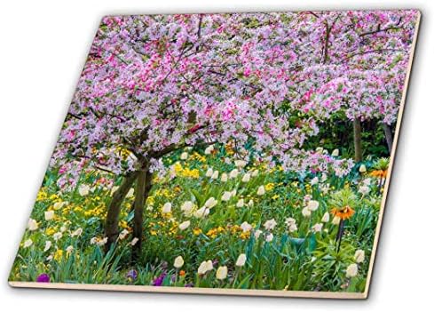3dRose ct_210032_1 Франция, Живерни Пролет в градината на Керамични плочки, Клод Моне, 4