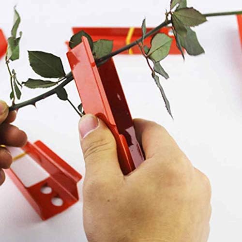 Hemoton Клещи за премахване на чеп с рози, определени за облекчаване на тръни, 3 бр, скоба за теглене на шипове с листа от рози, инструмент за премахване на бодли на рози,