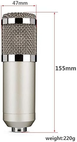 Кондензаторен Студиен Микрофон за Запис HGVVNM За Разпръскване на Избор Кардиоидного посока Може да Осигури Ясни Ефекти