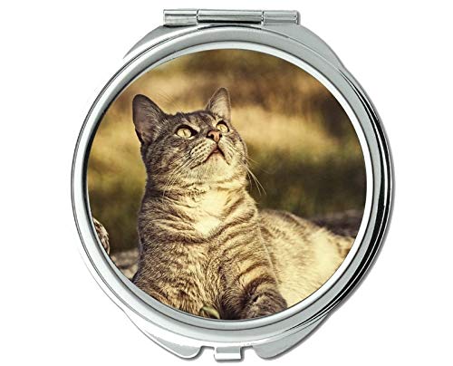 Карманное Огледало,Котешки огледало с Гребло за Коте за Мъже/Жени, Увеличително 1 X 2X