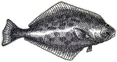 Nature's Bounty Красив скица на риба на поръчка [Риба камбала], бродирана На желязо нашивке [6 x 3,17] Произведено в