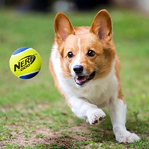 Топка за тенис на Nerf за кучета, играчка за кучета с интерактивна пищалкой, Лек, издръжлив и водоустойчив, 2.5 инча,