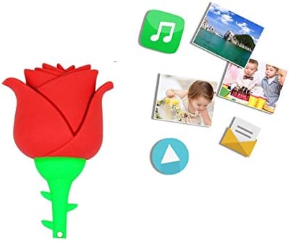 Флаш памет WooTeck 64GB Cartoon Стара Rose Flower USB Flash Drive