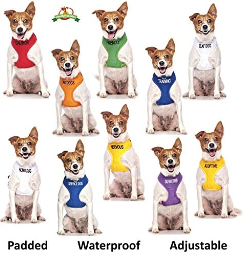 Кърпа за кучета Dexil Friendly Green Качеството на Маточната кърпичка с индивидуална бродерия Моден Аксесоар Предотвратява