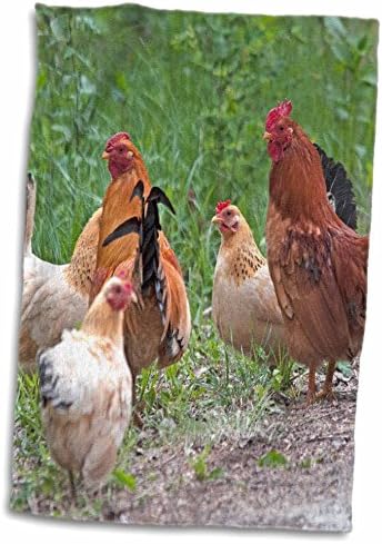 3дРоуз, САЩ, Небраска. Пилета - кърпи (twl-191575-3)