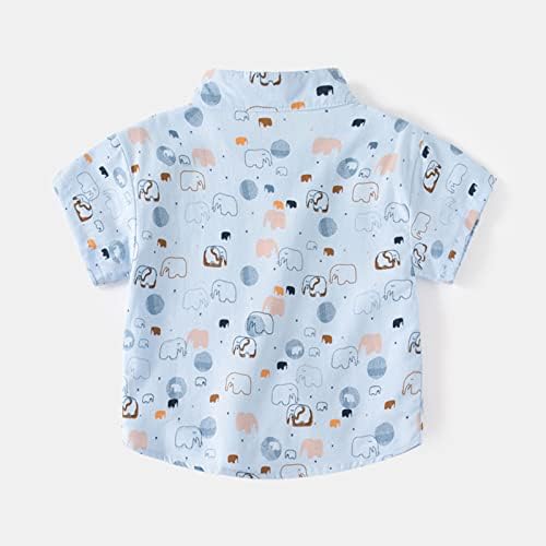 Тениска с къс ръкав за малки момчета и момичета, Детски Блузи с шарени Великденски Мультяшного Заек, Тениска (0314I-Син, на 3-4 г.)