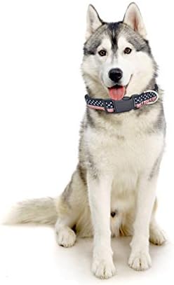 Найлонов нашийник за кучета с флага на сащ - патриотичен, Ден на Независимостта на Четвърти юли, Регулируеми за малки