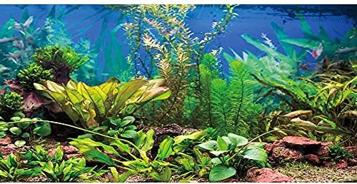Размер 48x24 инча Фон за аквариум Водни растения коритото на реката и езерото Фон за аквариум винил