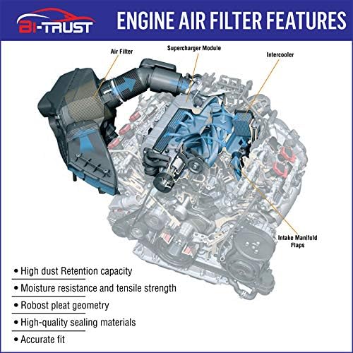 Въздушен филтър на двигателя Bi-Trust CA11480, Замяна за Ford Edge 2015-2021 L4 2.0 L Lincoln Mkx -2018 V6 2.7 L,