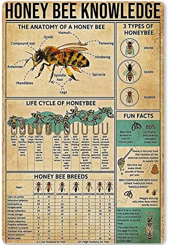 Познаване на Медоносной Пчелите Метална Лидице Знак Информация За Пчелите Схема Рендосване Плакат, Илюстрация за Училищното