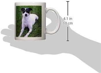 3дрозные кучета Сърдит Териер - Сърдит териер - Чаши (mug_791_1)