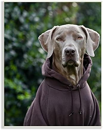 Куче порода лабрадор Ступелл Industries с дълга блуза с качулка Подробна фотография, Дизайн на Майкъл Брайън